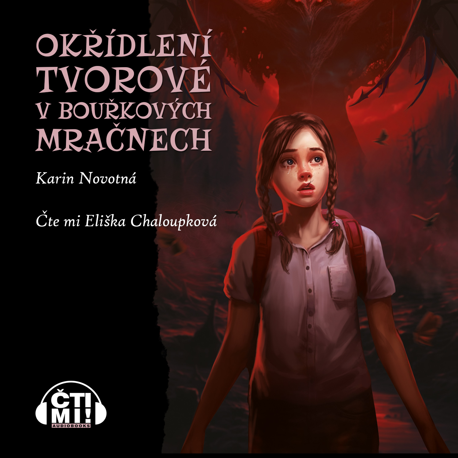 Audiokniha Okřídlení tvorové v bouřkových mračnech – Karin Novotná